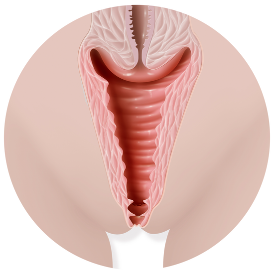 VAGINA PH3.5